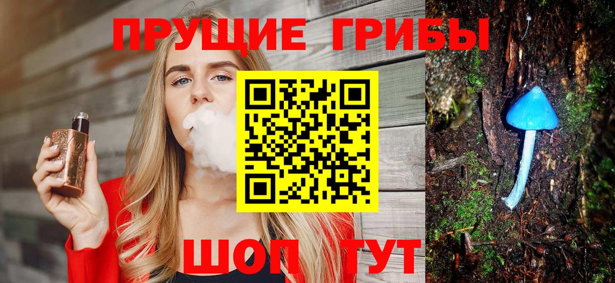 Галлюциногенные грибы Psilocybine cubensis Елизово