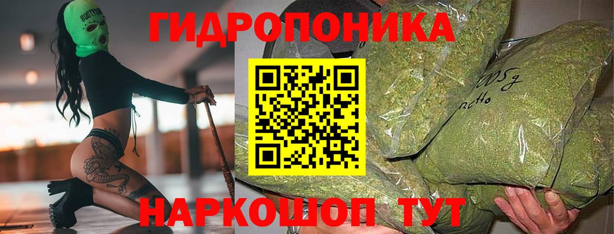 Бошки марихуана Ganja Елизово
